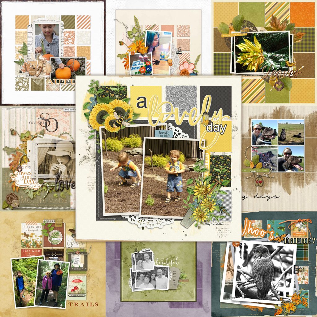 Katie Pertiet Designs Scraplift