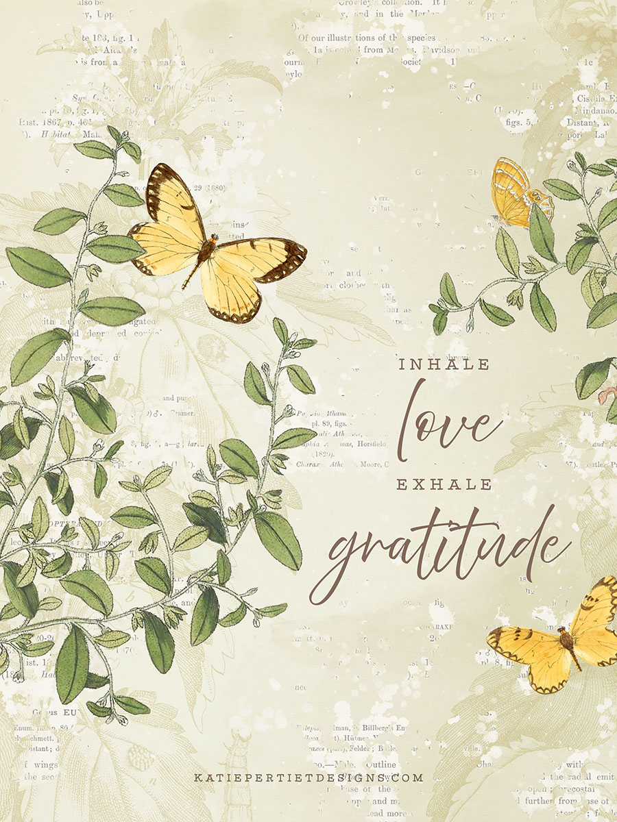 30 Days of Gratitude : Day 29