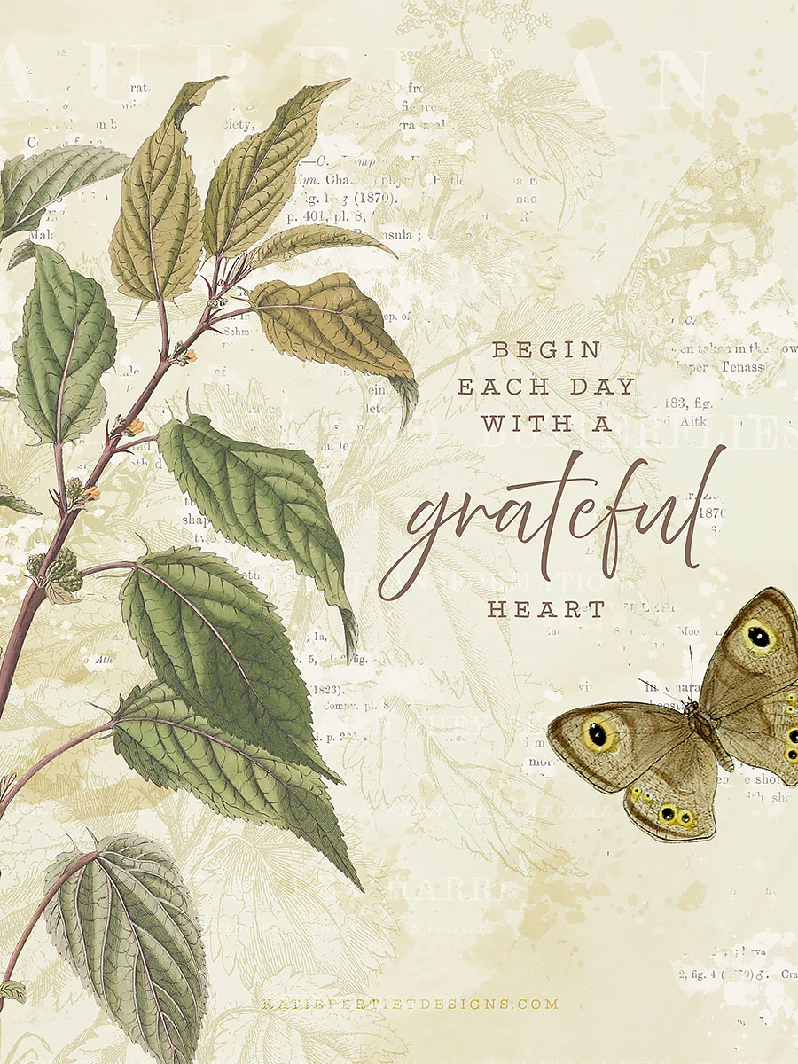 30 Days of Gratitude : Day 1