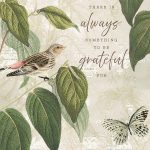 Katie Pertiet 30 Days of Gratitude Cards