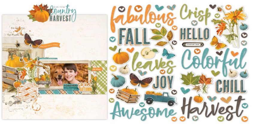 Introducing the Country Harvest Collection