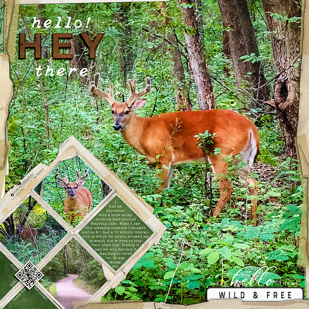 Digital Scrapbooking