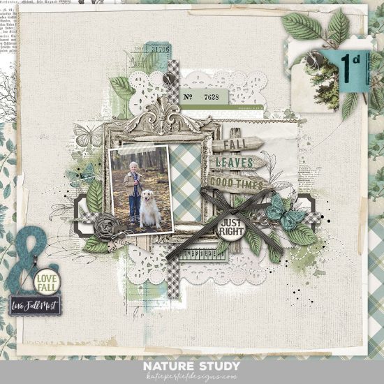 Nature Study Scrapbook Collection has arrived!