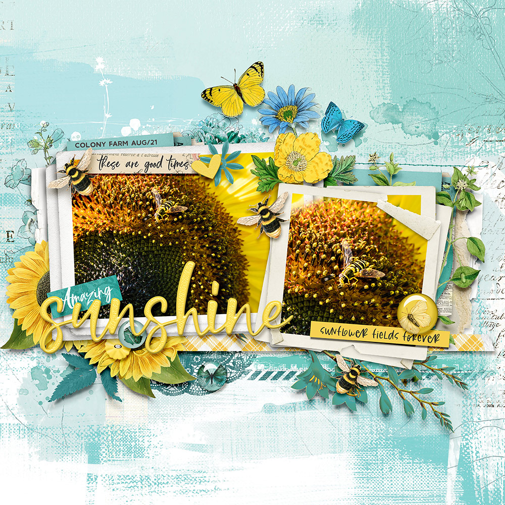 Katie Pertiet Designs Digital Scrapbooking