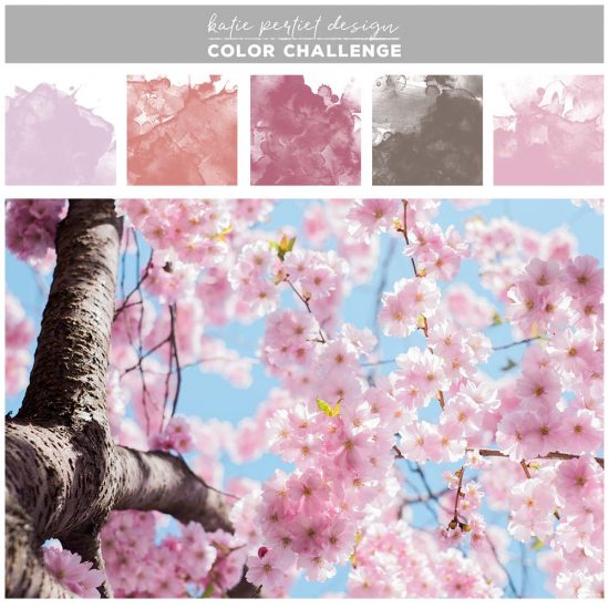 April Color Challenge: Spring blooms