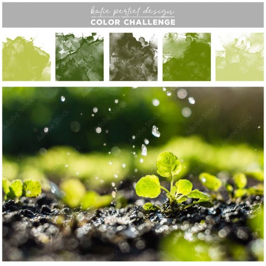 May Color Challenge: Fresh Greens