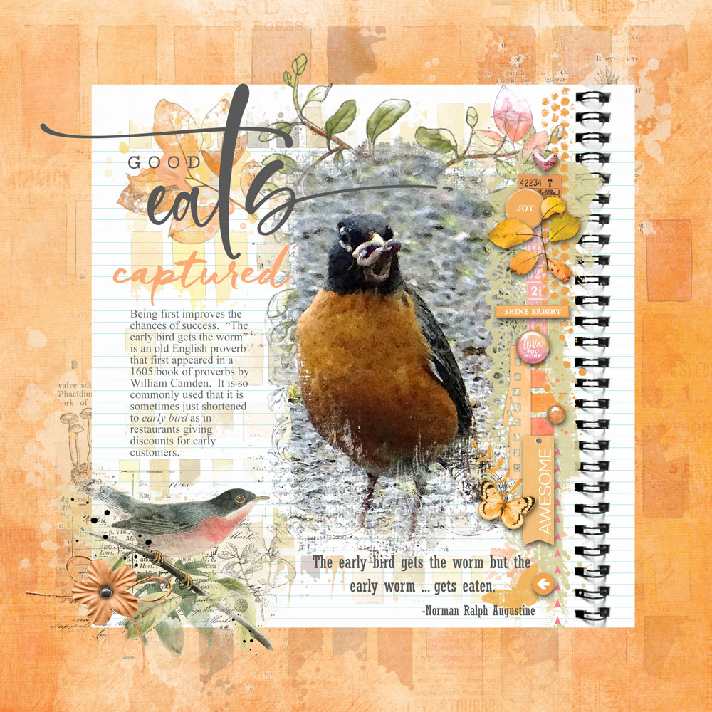 Digital Scrapbooking