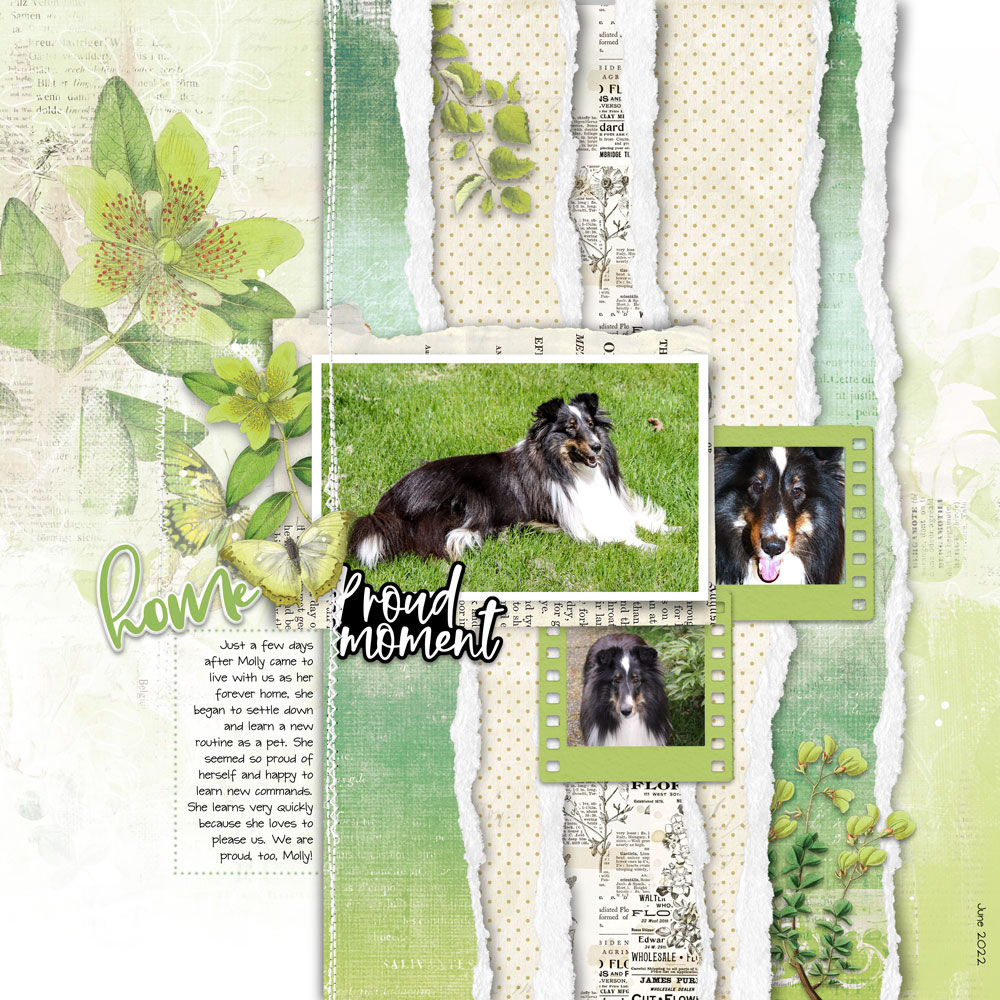 Digital Scrapbooking