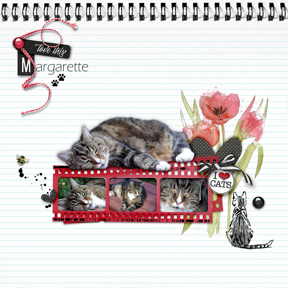 Digital Scrapbooking