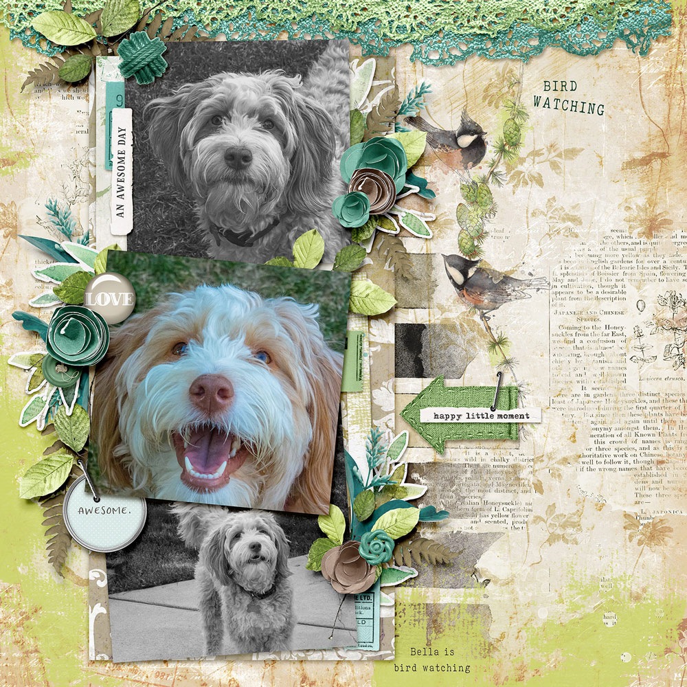 Digital Scrapbooking