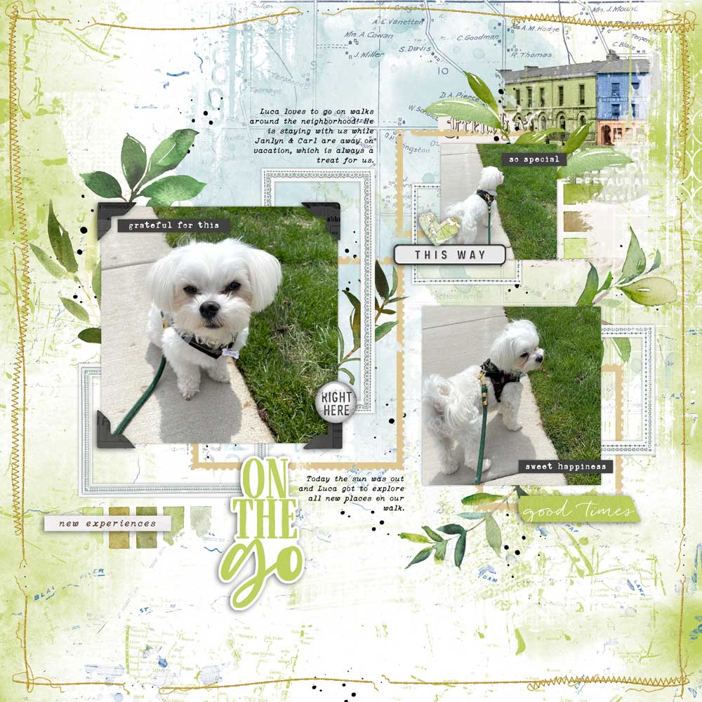 Digital Scrapbooking