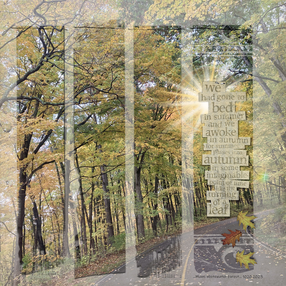 Digital Scrapbooking