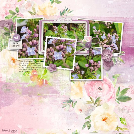Let’s Blend Challenge – Messed Up Photo Blocks