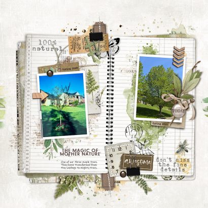 Katie Pertiet Designs Downloads