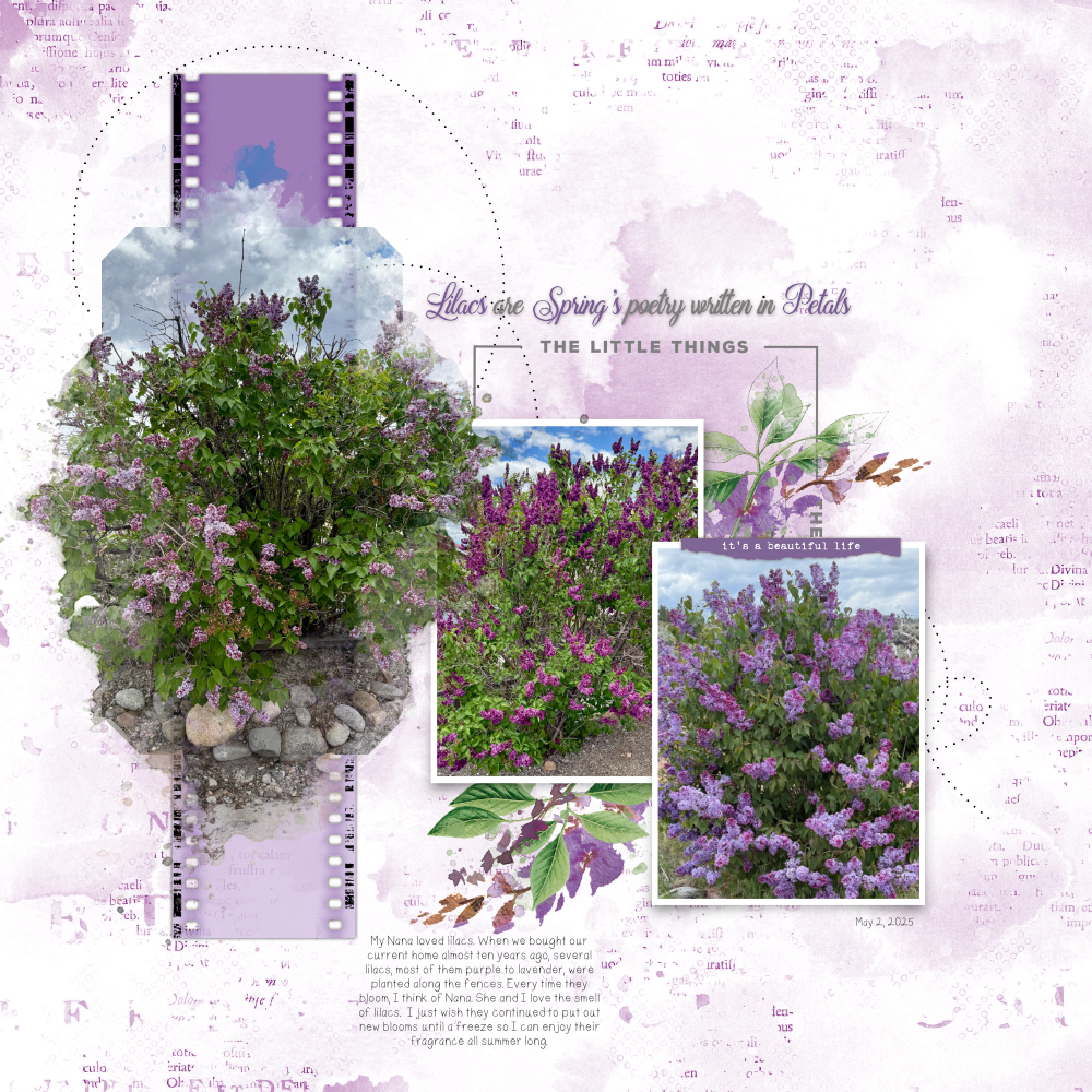 Digital Scrapbooking