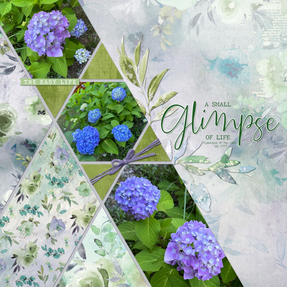 Digital Scrapbooking