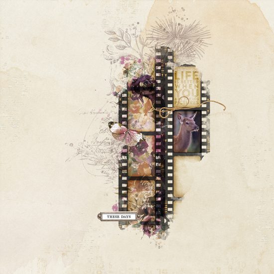 Let’s Blend Challenge – Filmstrip Blends