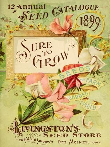 Graphic Challenge August 2025: Vintage Seed Catalogs!