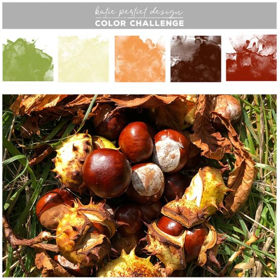 Color Challenge: Rich Fall Vibes