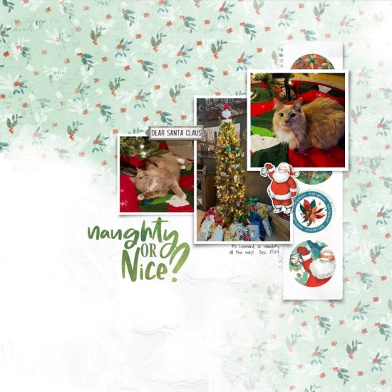 December Scraplift Chain