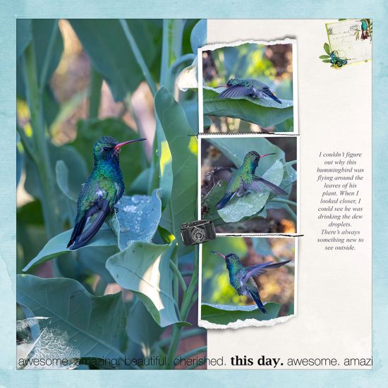 January Scraplift Chain