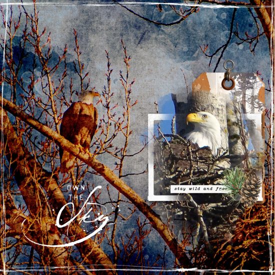 5th Saturday Scraplift: Creative Team Spotlight