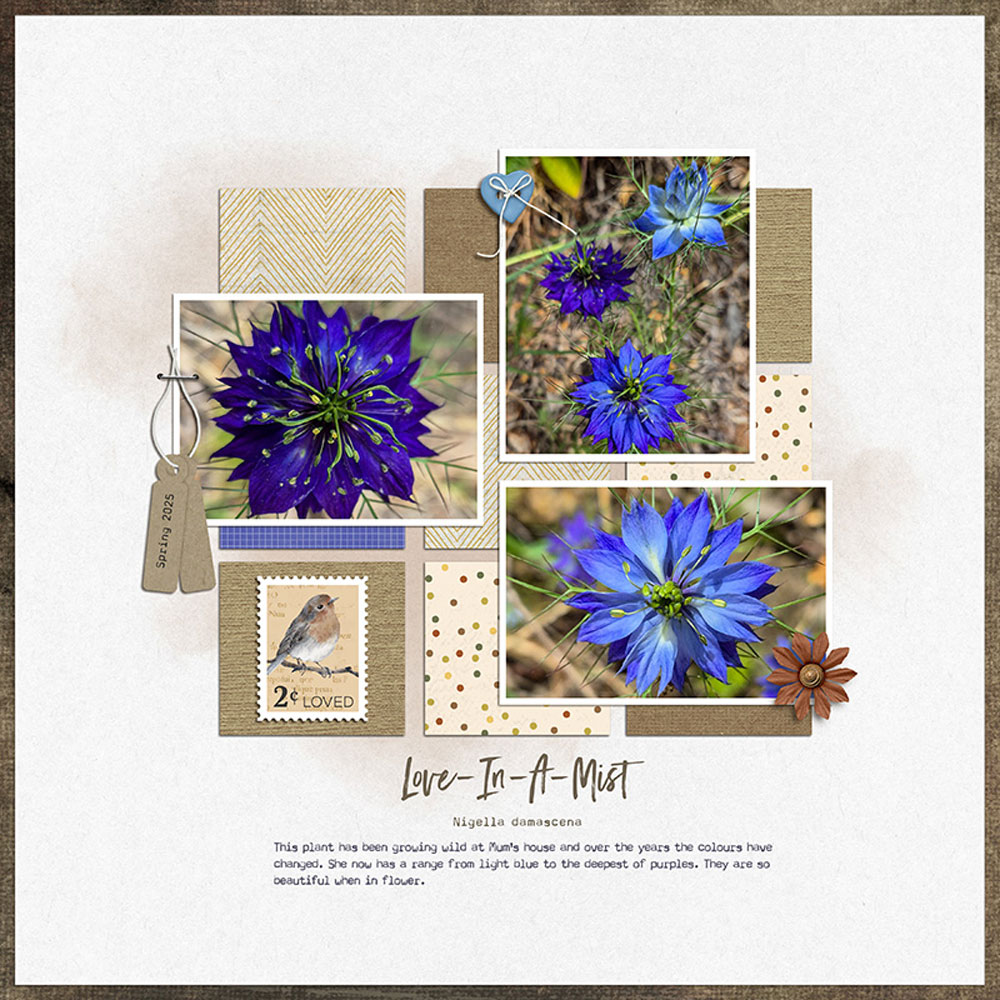 Digital Scrapbooking