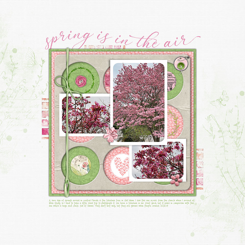 Digital Scrapbooking