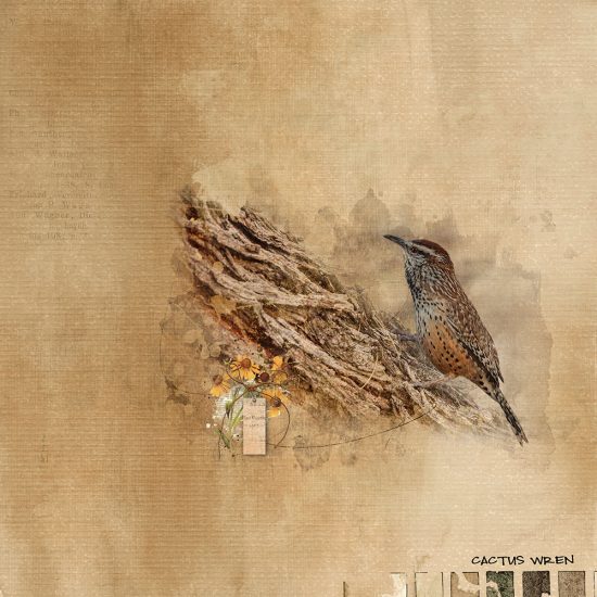 Let’s Blend Challenge