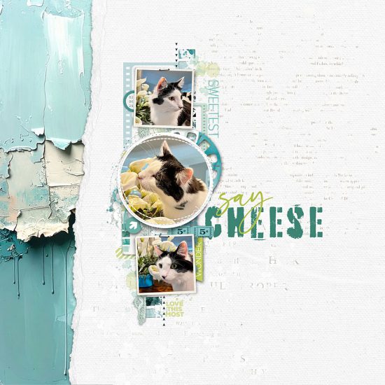 Template Mashup – Joy Captured