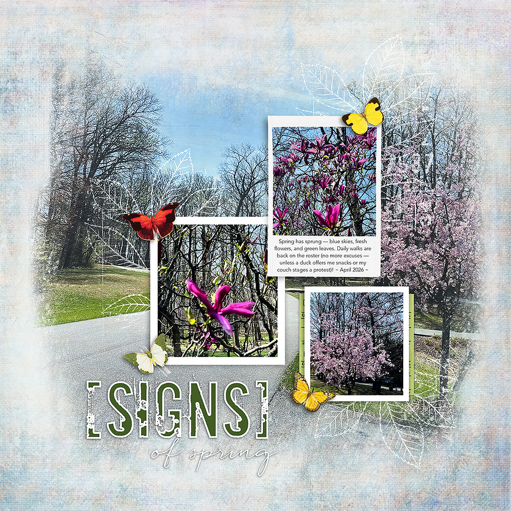 Katie Pertiet Designs Downloads