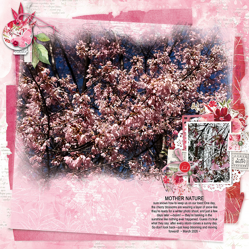 Digital Scrapbooking