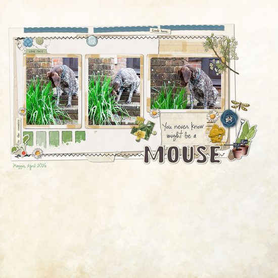 Challenge of the Month: On Repeat