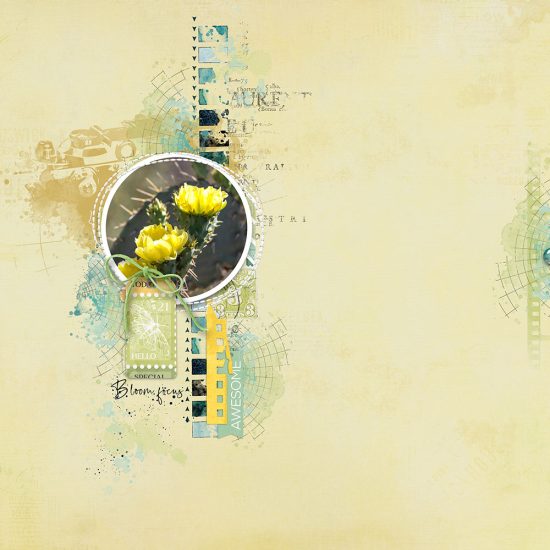 Saturday Scraplift Challenge: Lined and Circled