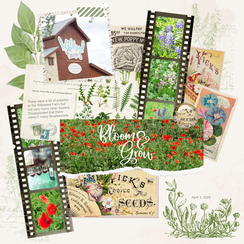 Digital Scrapbooking