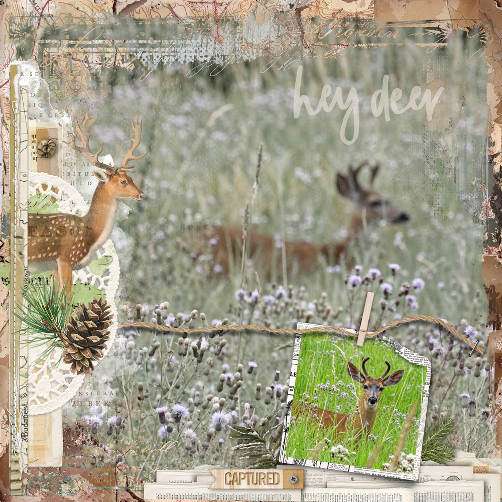 Digital Scrapbooking