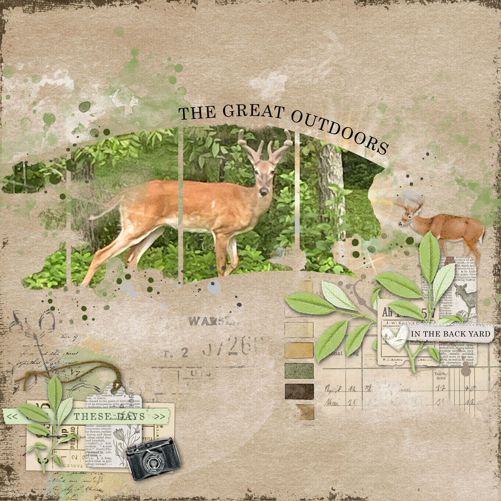 Digital Scrapbooking