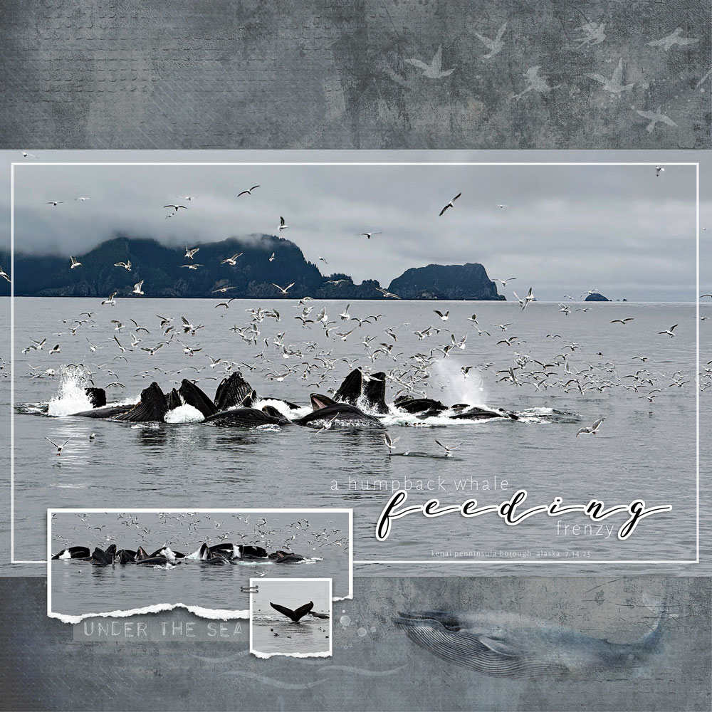 Digital Scrapbooking