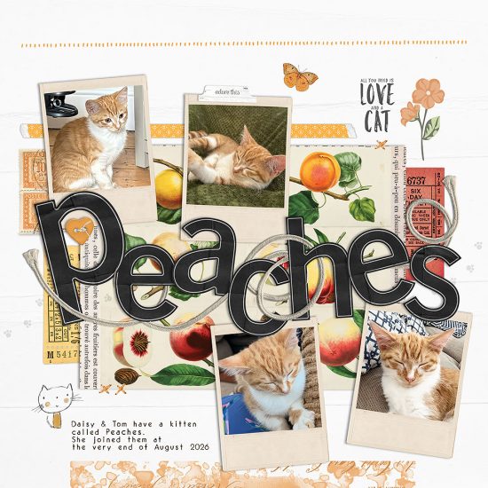 Saturday Scraplift Challenge: Title Focused