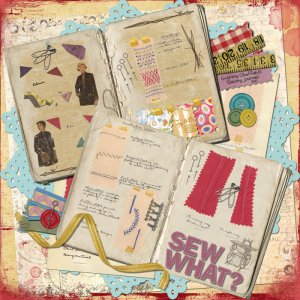 Sew What?