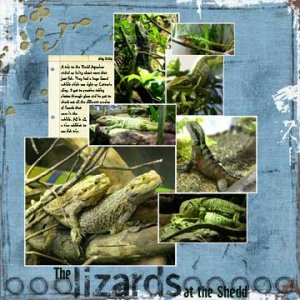 lizards at the shedd