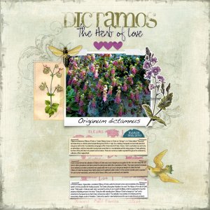 "DICTAMOS" the Herb of Love