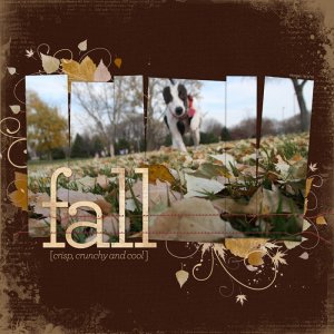 Fall (TempChal)