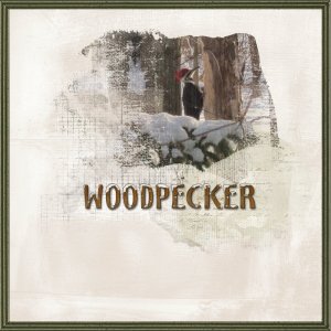 Woodpecker (challenge Mask)