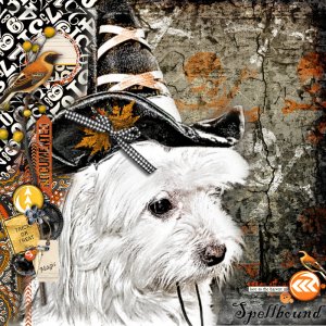Halloween Magic (patterned paper)