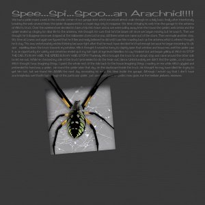 An Arachnid!!!