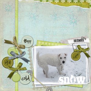 Snow Dog!