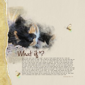 Story Scrapbook Challenge - What if