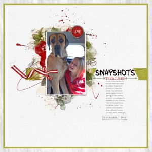 Snapshots Treasured - SSL: In the Frame
