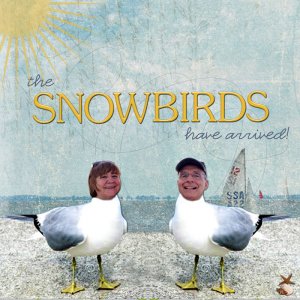Snowbirds